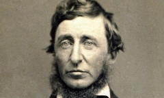 Thoreau 12-07.jpg